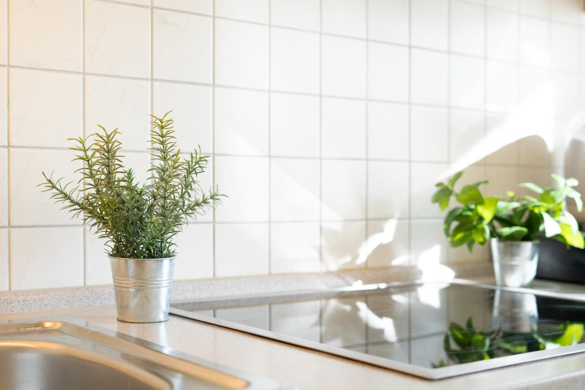 Apartament Relax Burg auf Fehmarn Zewnętrze zdjęcie